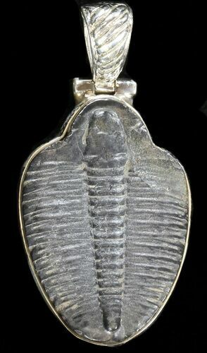 Sterling Silver Elrathia Trilobite Pendant #37959